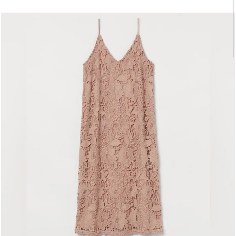 Elegant Lace Slip Dress in Tan H&M small